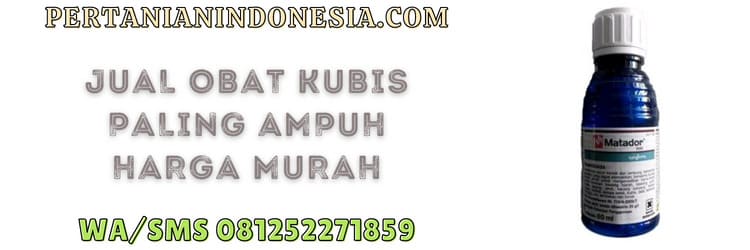 jual,jual obat kubis,pertanian indonesia,murah,harga murah